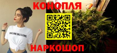 крисы Лесосибирск