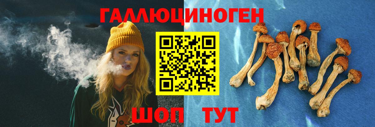 Псилоцибиновые грибы Cubensis Ялта